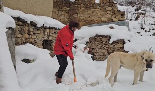 Erzincan'da hava soğudu, yüksek kesimlere kar yağdı