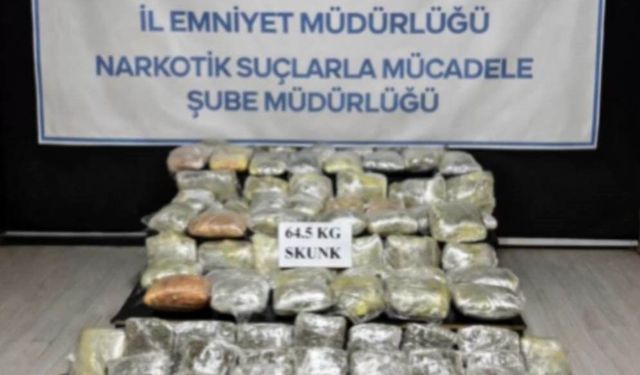 Hakkari'de 64,5 kilogram skunk ele geçirildi