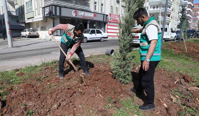 Haliliye'de yaz öncesi parklarda hummalı çalışma