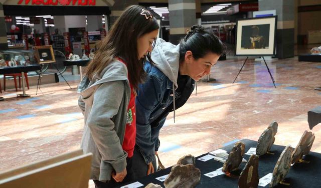 'İl İl Türkiye Sergisi' Diyarbakır'da sanatseverlerle buluştu