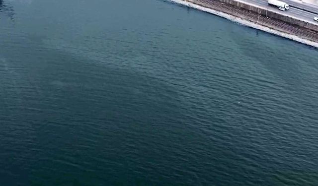 İzmir Körfezi'nde kirlilik alarmı: Aynı tehdit 11. kez görüldü