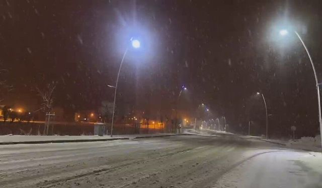 Karayazı'da kar ve tip etkili