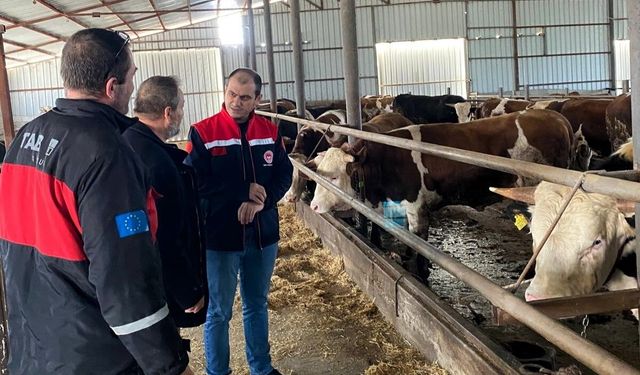 Kırklareli'nde besi çiftliği kontrolleri devam ediyor