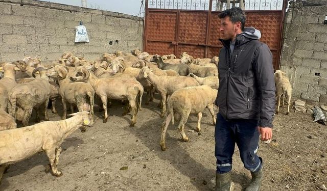 Kurbanlık parasıyla evlenmişti şimdi doğacak bebeği için kullanacak