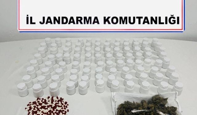 Mardin'de uyuşturucu operasyonu: 1 tutuklama