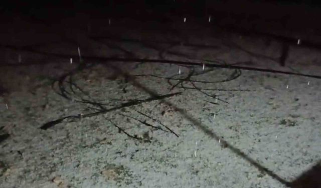 Mersin'de dolu yağışı etkili oldu