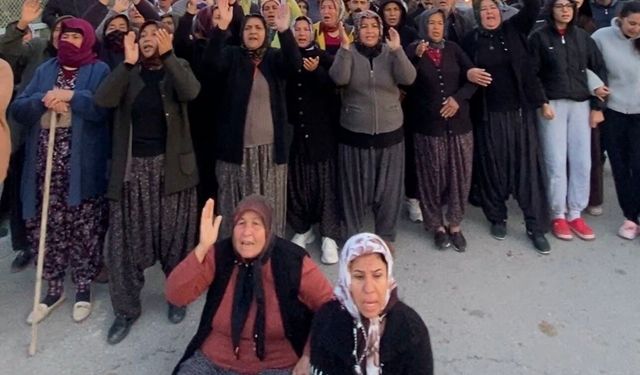 Mersin'de ormanlık alana ekili narenciye bahçelerinin kaldırılması kararına tepki