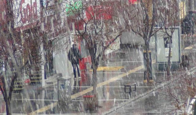 Meteoroloji uyardı: Kars'ta kar yağışı başladı