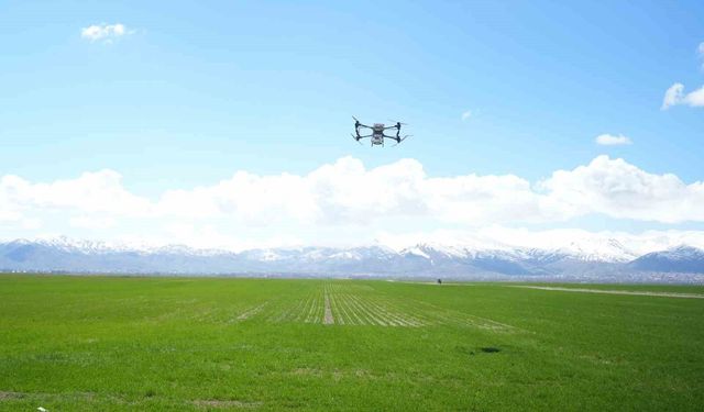Muş'ta 42 bin dönümlük tarım arazisi dron ile gübrelendi