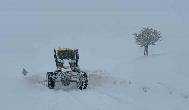 Muş'ta 55 köy yolu kapandı
