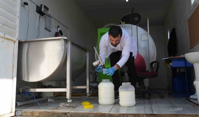 Muş'ta çiğ süt soğuk zincir projesi hayata geçti