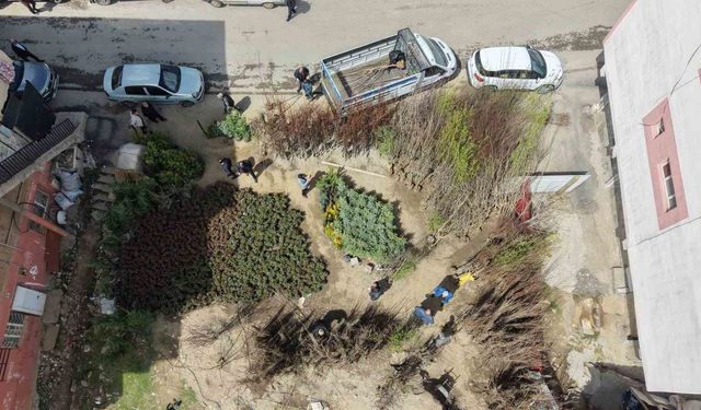 Muş'ta meyve fidanları satışa çıkarıldı