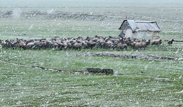 Muş'ta nisan karı etkisini sürdürüyor: 22 köy yolu ulaşıma kapandı