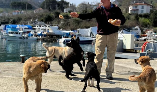 Olta tutkunu vatandaştan sokak köpeklerine şefkat