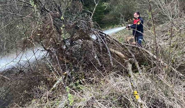 Ormanlık alanda çıkan yangın büyümeden söndürüldü