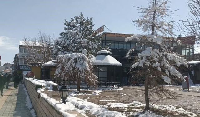 Özalp'ta nisan karı etkili oldu