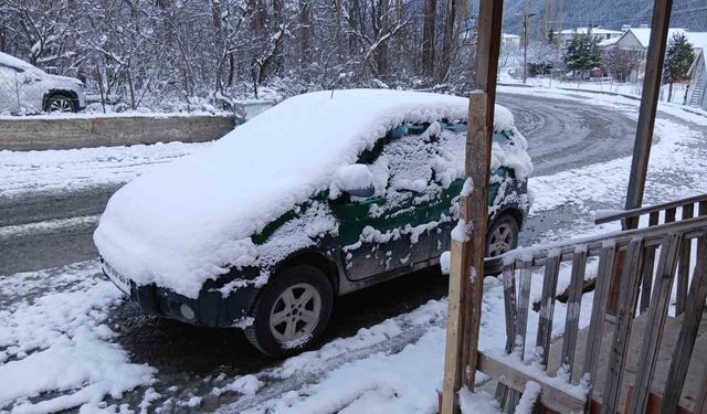 Posof'ta kar yağışı etkili oldu