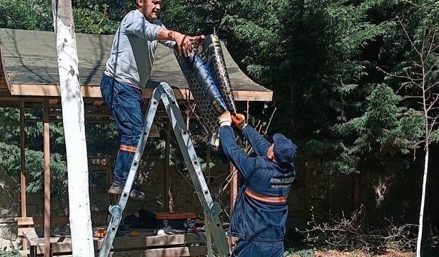 Pursaklar Belediyesi'nden parklarda bakım seferberliği