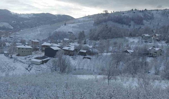 Sakarya'nın yüksek kesimleri beyaza büründü