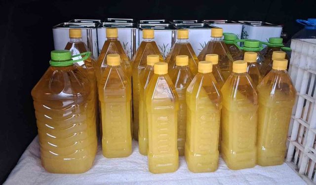 Şarköy zeytinyağına coğrafi işaret