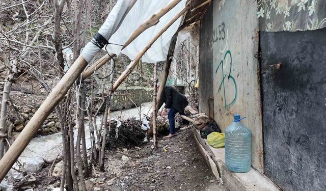 Sel sularından korunmak için odun ve çalılarla önlem aldı