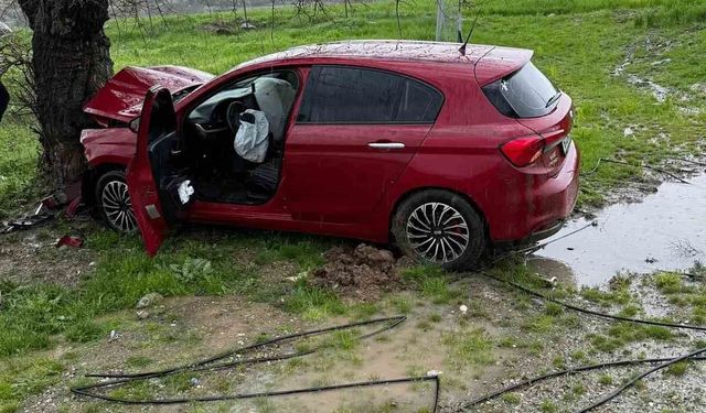 Siirt'te ağaca çarpan otomobilin sürücüsü yaralandı