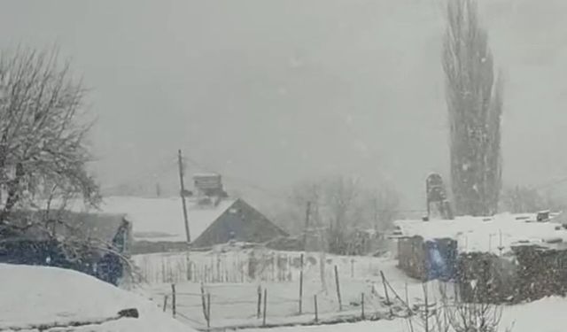 Siirt'te nisan ayında kar sürprizi