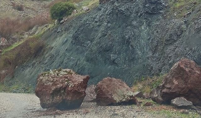 Sincik'te kuvvetli yağış sonrası köy yoluna kaya düştü