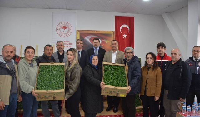 Sinop'ta 135 bin fide toprakla buluşuyor