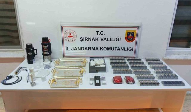 Şırnak'ta kaçakçılığa jandarma darbesi: 146 şüpheliye işlem