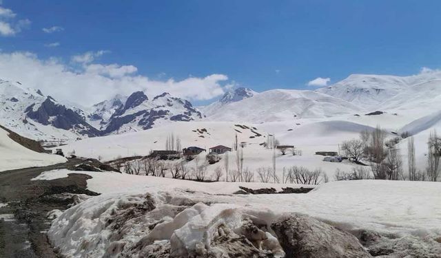 Şırnak'ta karla mücadele devam ediyor