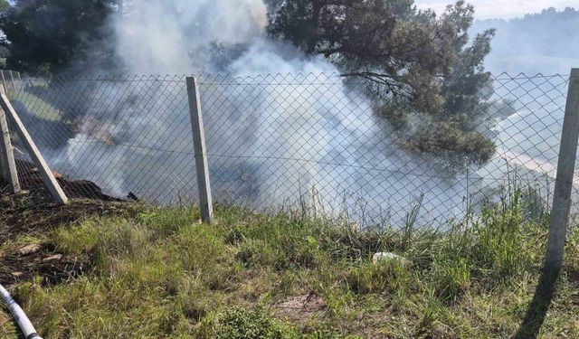 Tarlasındaki otları temizlerken ormanlık alanı yaktı