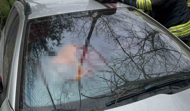 Tekirdağ'da şarampole uçan otomobilin sürücüsü hayatını kaybetti