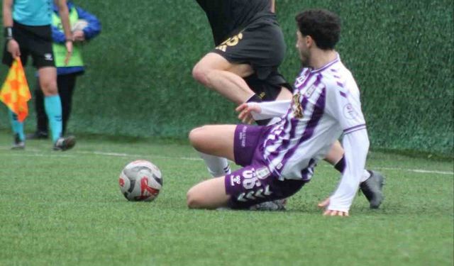 TFF 3. Lig: Çayelispor: 3 - Hopaspor: 2