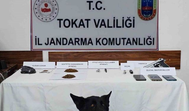 Tokat'ta jandarmadan zehir tacirlerine operasyon: 5 gözaltı