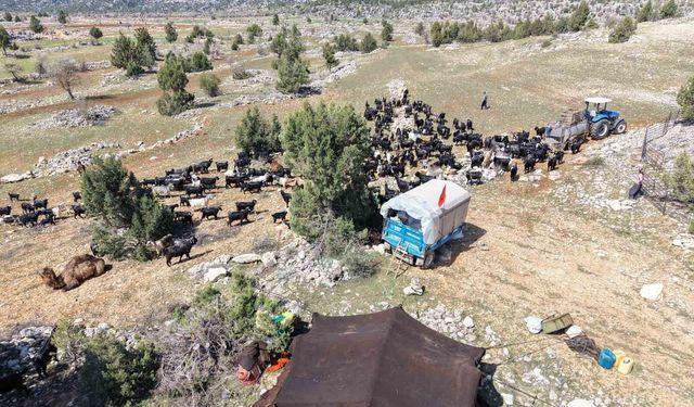 Toroslar'da Yörük göçü başladı: Sarıkeçililer yayla yolunda