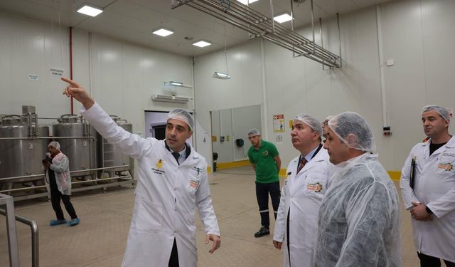 Türkiye'nin dört bir yanından gelen ballar Erzincan'da işleniyor