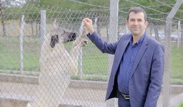 Uzmanı tanımladı, 'Veteriner hekimler gıda zincirinin temel taşı konumundadır'