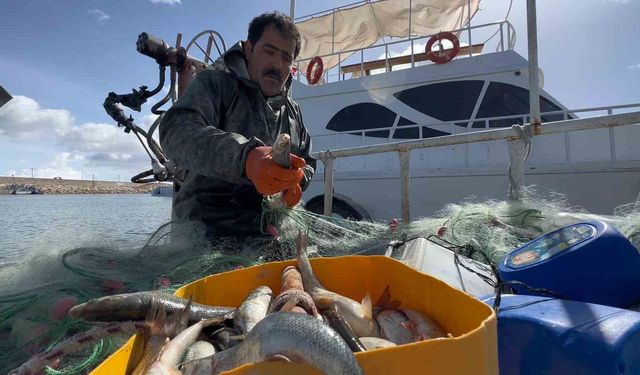 Van Gölü'nde inci kefali için av yasağı: Kaçak avlanmanın cezası 16 bin TL