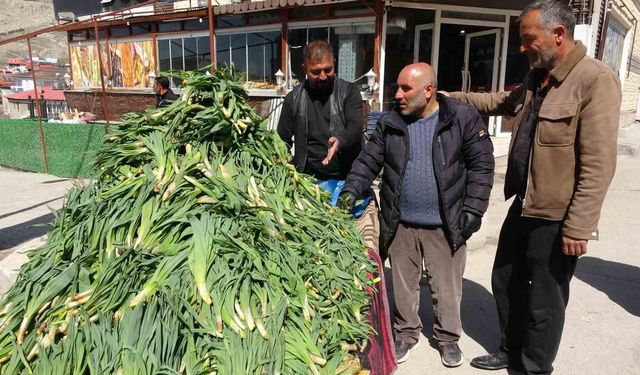 Van'da şifa kaynağı 'çiriş otu' tezgahlardaki yerini aldı