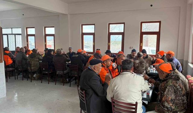 Yaban domuzlarına karşı sürek avı