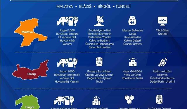 Yerel Kalkınma Hamlesi ile yatırımcılara 301 Milyon TL'ye kadar destek