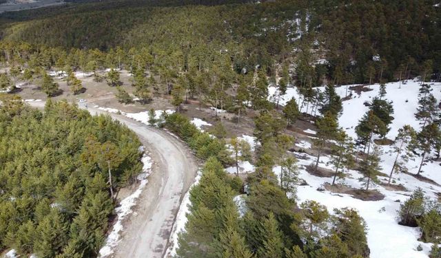 Yozgat'ın yükseklerinde kış ve bahar bir arada yaşanıyor