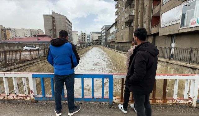 Yüksekova'da bereket taşkını: 10 yıl sonra gelen görsel şölen