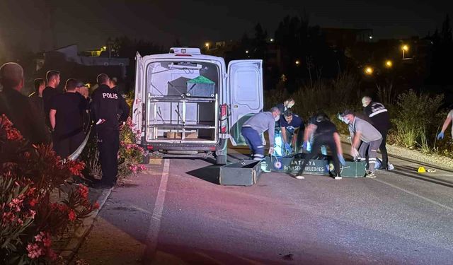Antalya'da çıkan tartışma cinayetle bitti: 3 ölü