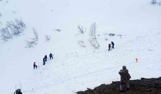 Artvin'de çığ altında kalan çoban 122 gündür kayıp: Arama çalışmaları yeniden başladı