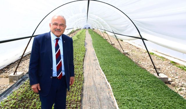 Başkan Güler: 'Kendi ürettiğimiz çiçekler ile şehrimizi güzelleştiriyoruz'