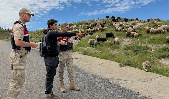 Batman'da Jandarma, Kurban Bayramı öncesi hırsızlara karşı besicileri uyardı