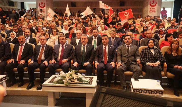 BBP Genel Başkanı Destici: 'Bir çocuğumuzun daha köpek saldırısında hayatını kaybetmesine tahammülümüz yok'