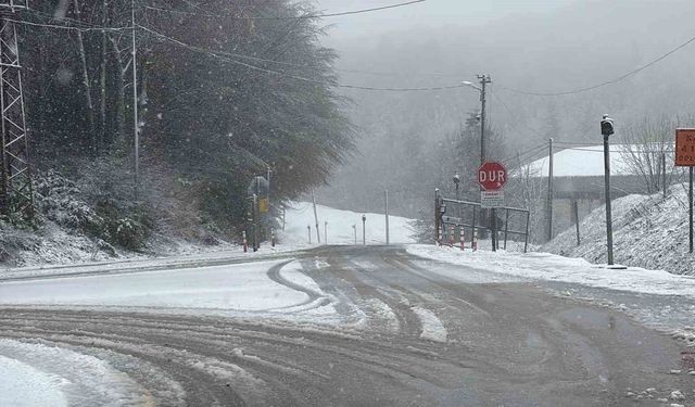 Bolu Dağı'nda mayıs ayında kar yağışı: Yollar beyaza büründü